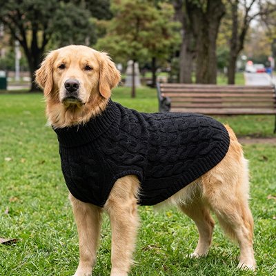 Pull pour Chien Noir et Blanc Grsnd noir