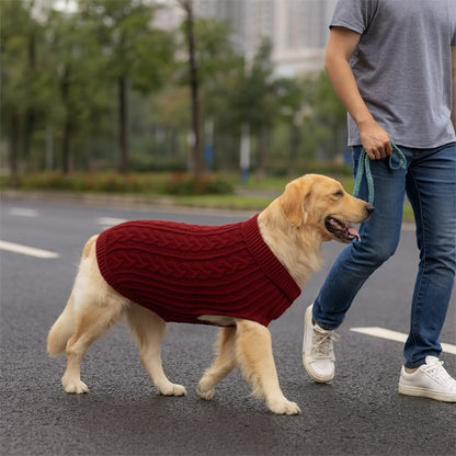 Pull pour chien rouge