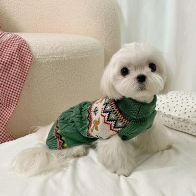 Pull pour Chien vert chalet