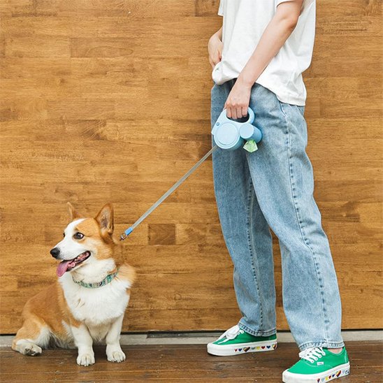 robuste tractable corgy
