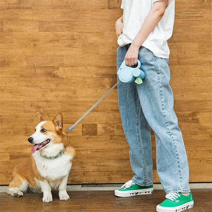 robuste tractable corgy