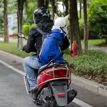 Sac de transport pour Chien  sortie en moto