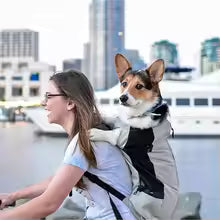 Sac de transport pour Chien sur le dos de sa compagne humaine en vélo