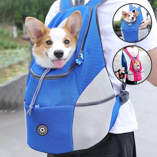 Sac à dos pour chien bleu