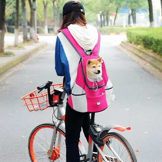 Sac à dos pour chien femme velo