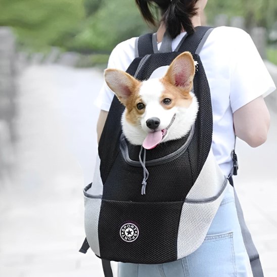 Sac à dos pour chien noir 