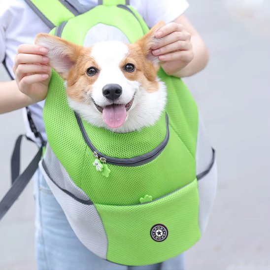 Sac à dos pour chien vert