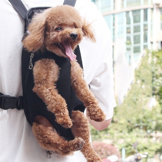Sac de transport chien bleu 