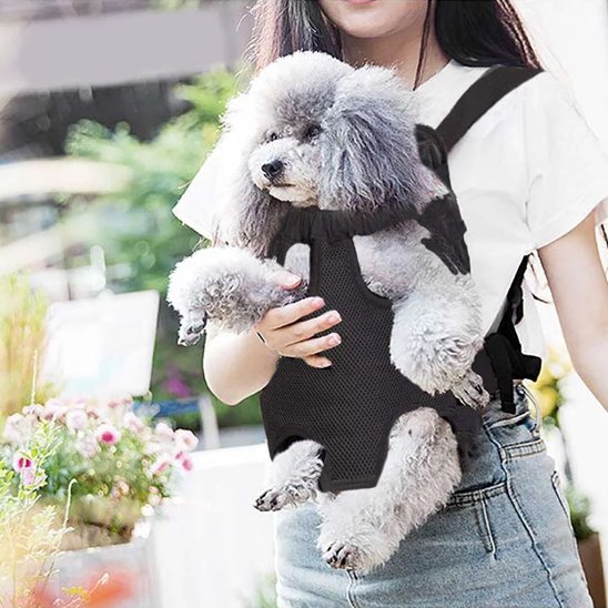 Sac de transport chien caniche