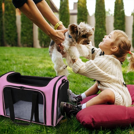 sac de transport chien chiot
