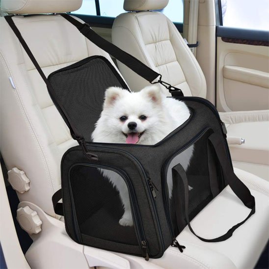 sac de transport chien noir voiture