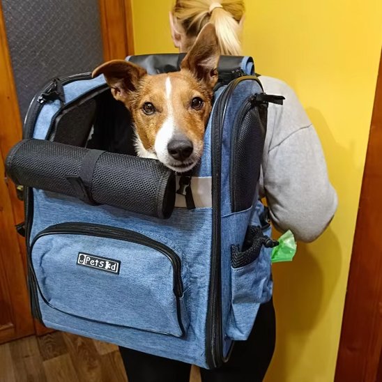 Sac de transport pour chien moyen avec ouverture en haut