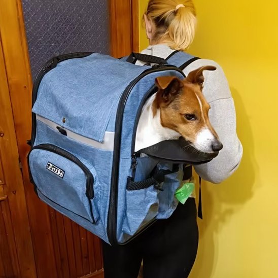 Sac de transport pour chien moyen couleur bleu