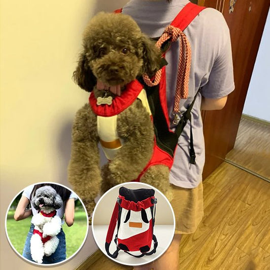 Sac de transport pour chien  multi couleur