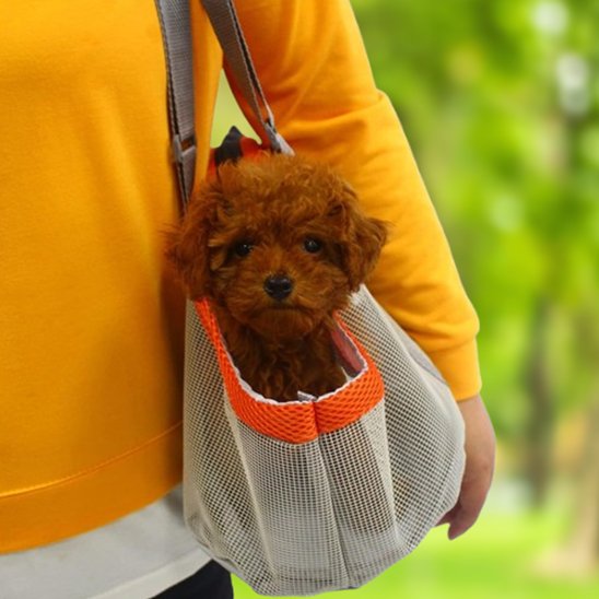 Sac de transport pour chien petit caniche