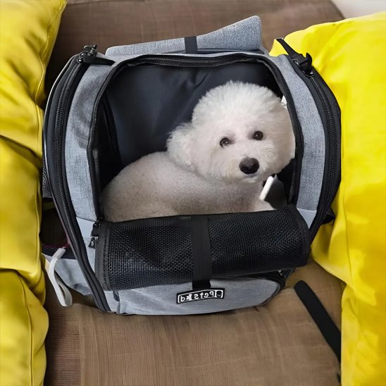 Sac de transport pour chien petit chien vue de l'interieur