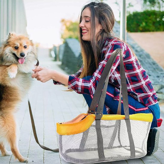 Sac de transport pour chien urbain