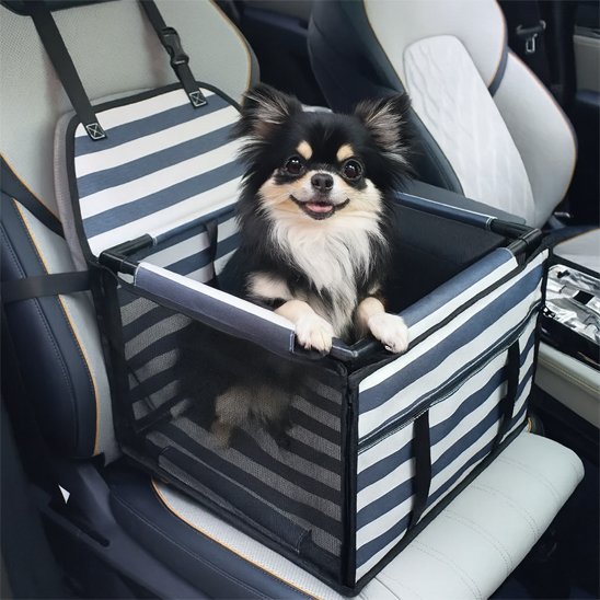 Siege auto pour chien motif