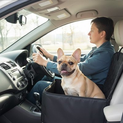 Siege auto pour chien Pro-Tec-Zen Avant