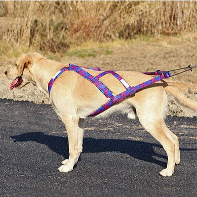 sportif traction arriere