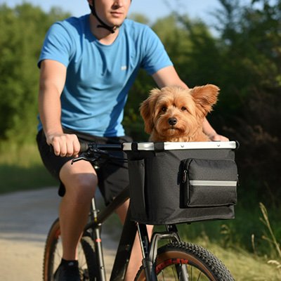Vélo panier Chien homme a velo avec son chien