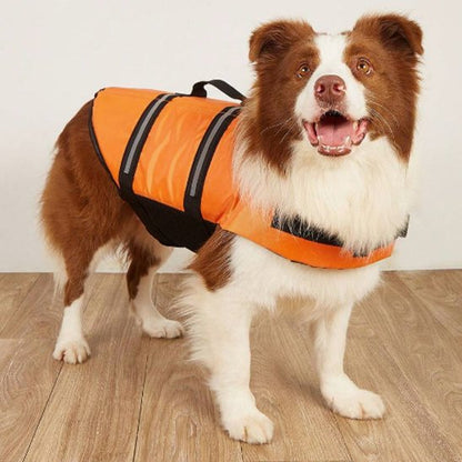Veste de flottaisons pour chien